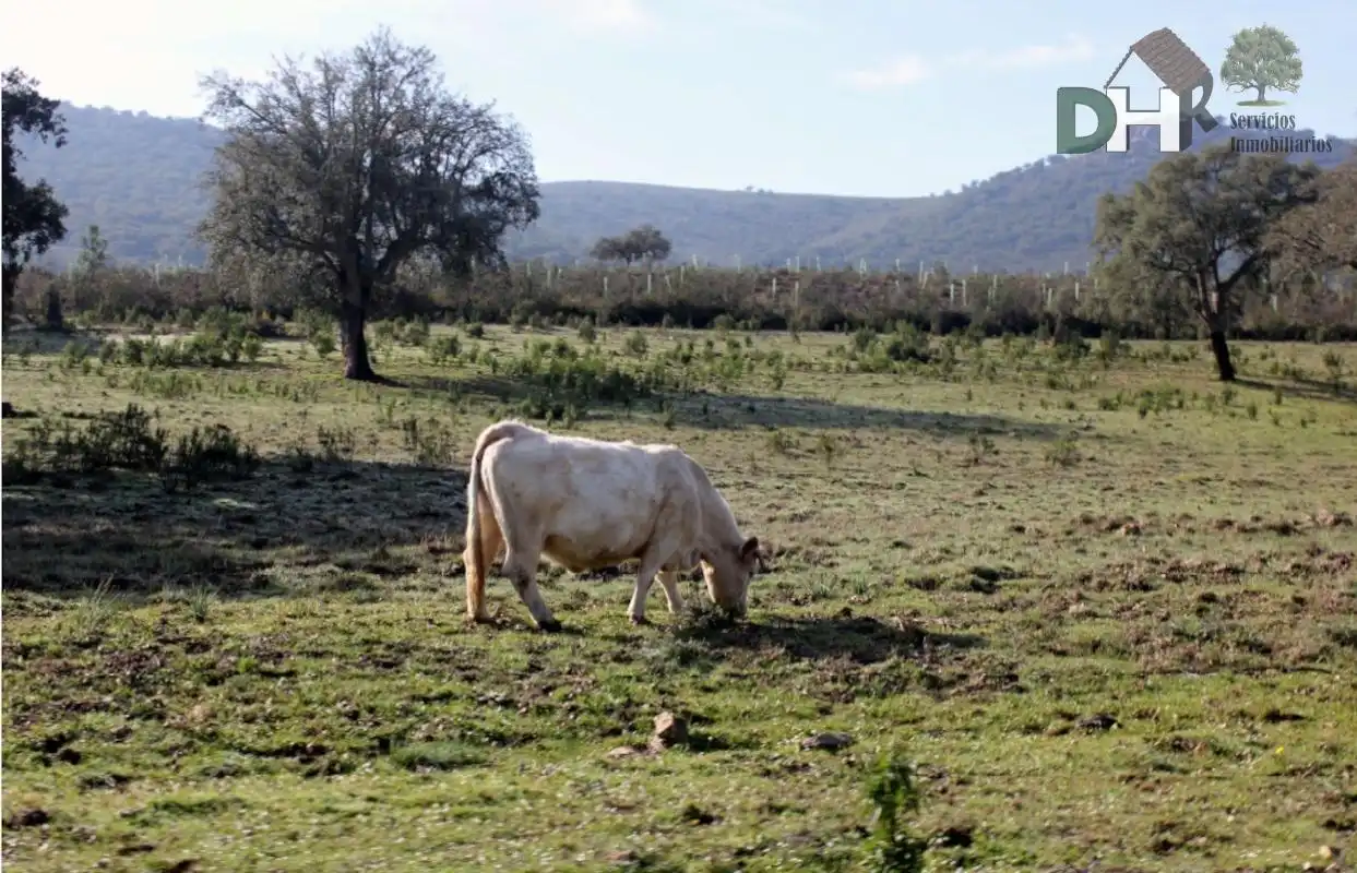 Terreni e lotti in vendita a Ruta de la Plata, imagen 9