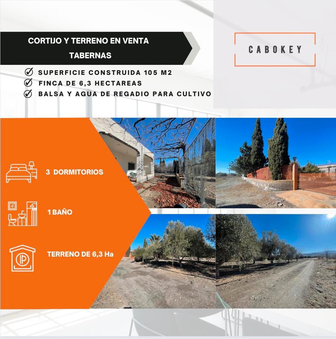 Finca rústica en venda en Tabernas amb Aire condicionat, Calefacció i Terrassa