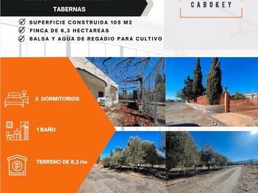 Casa rústica en venta en Tabernas