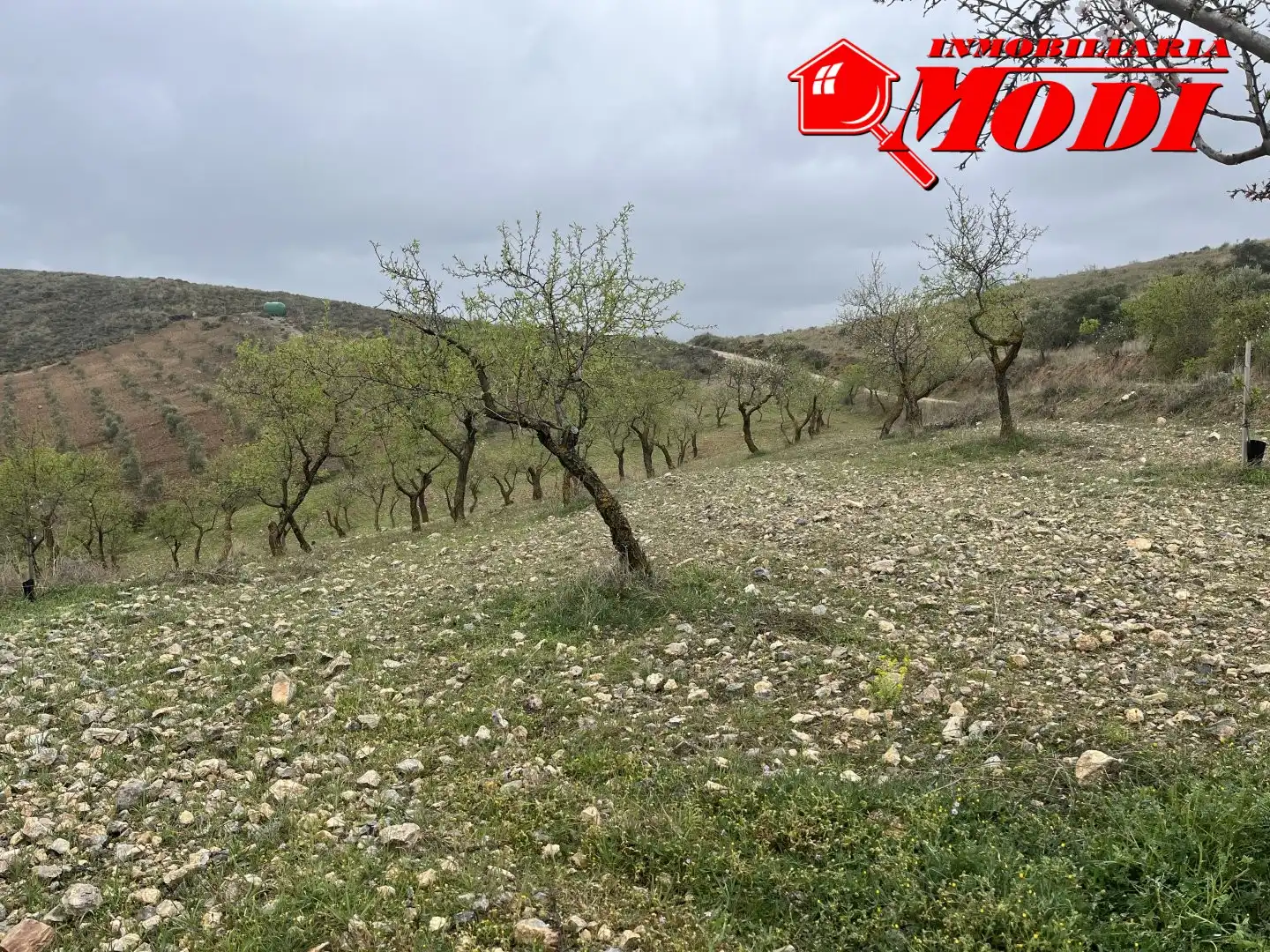 Residencial en venta en Albuñuelas