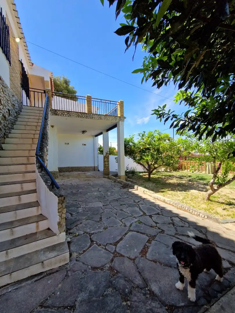 Jardín de Casa o chalet en venta en Chiva con Jardín privado, Terraza y Trastero