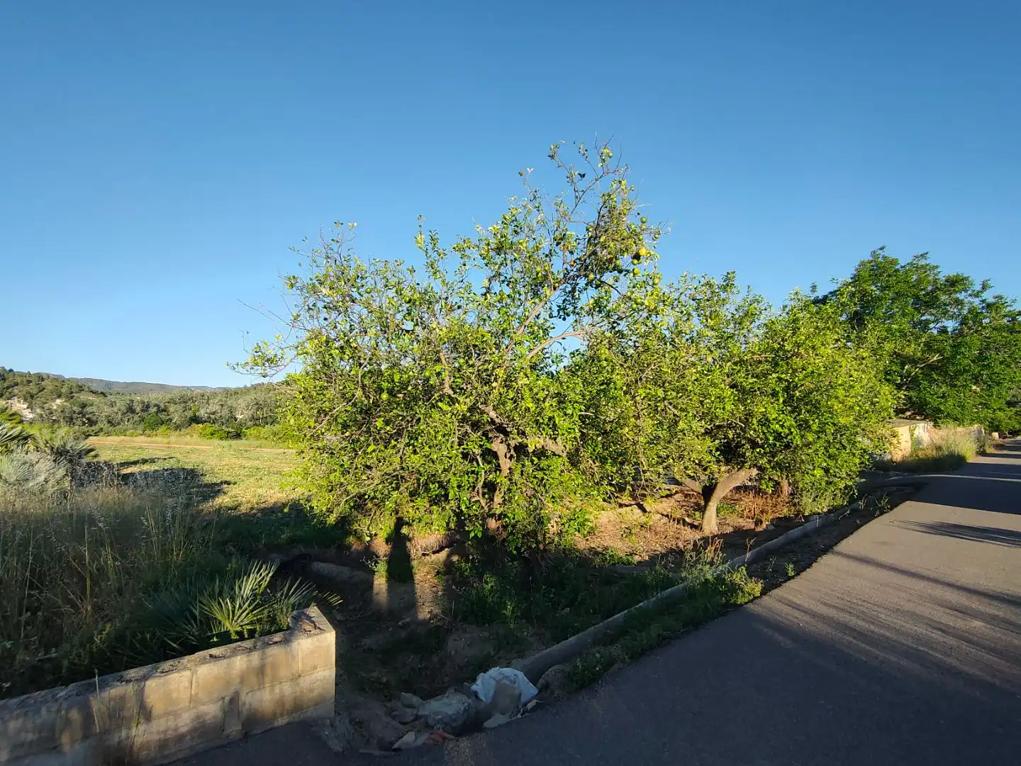 Terrain rustique à vendre à Diseminado Poligon 4 68, imagen 2