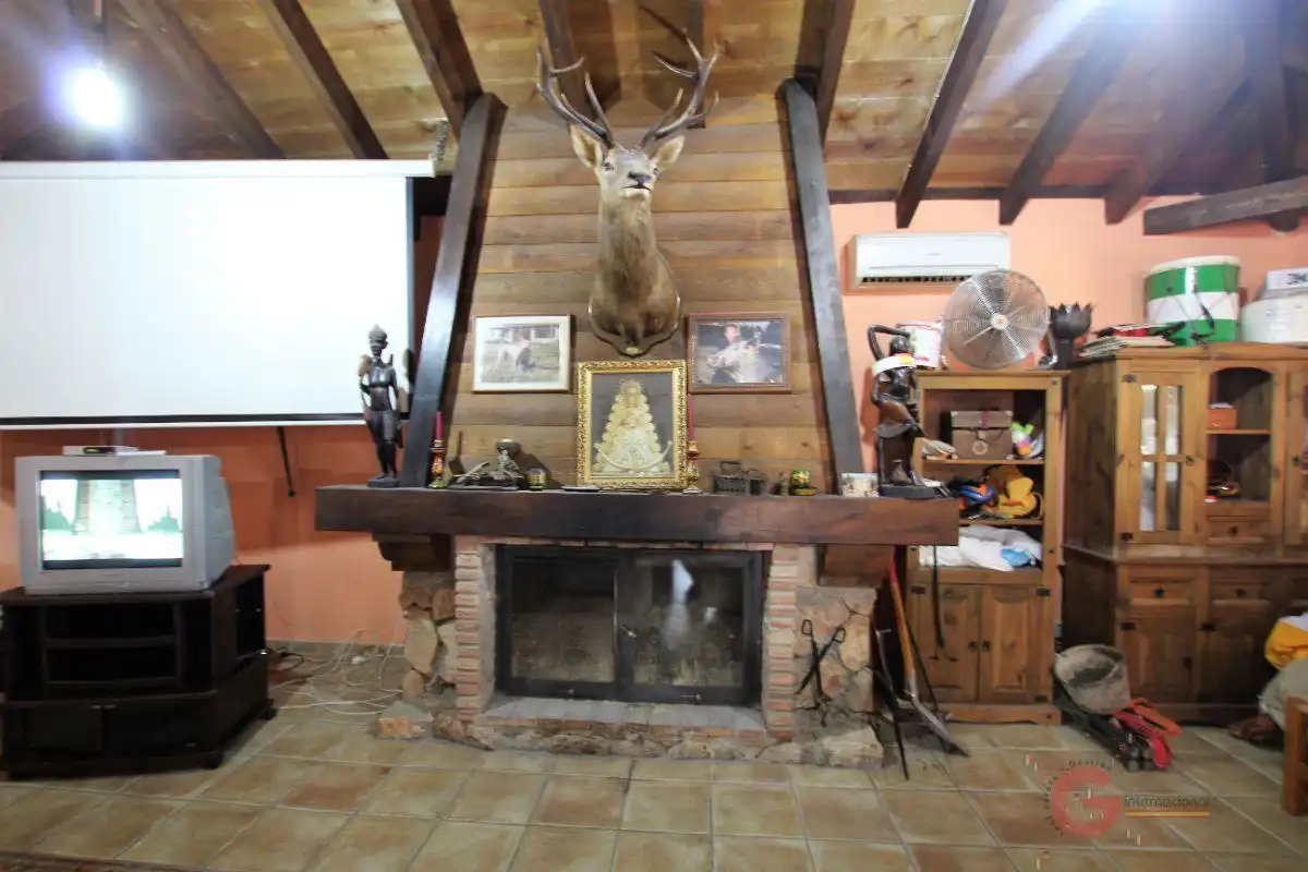 Casa rústica en venta en Vélez de Benaudalla, imagen 7