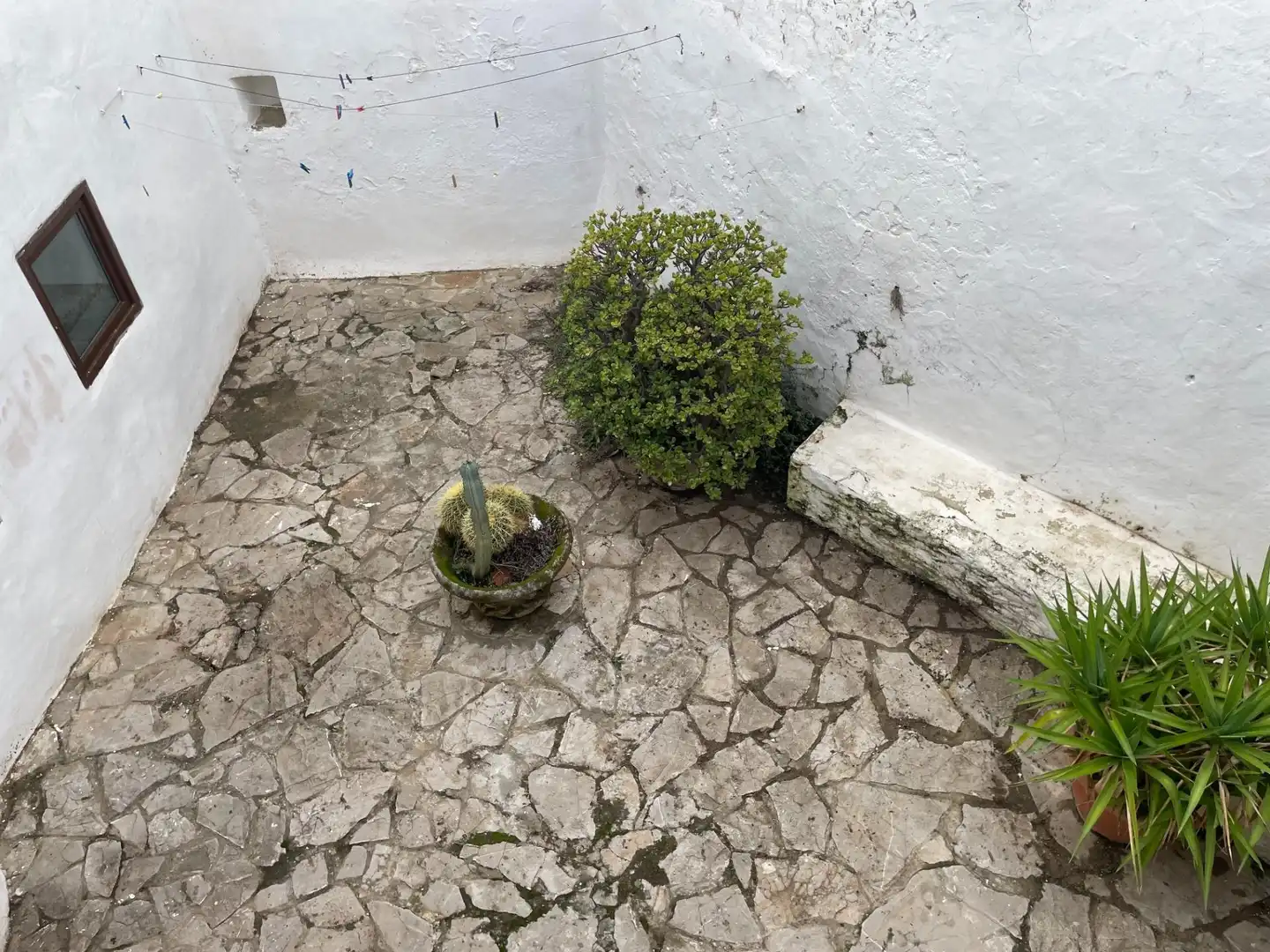 Jardín de Casa o chalet en venta en Tarifa con Terraza