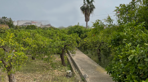 Foto 2 de Finca rústica en venda a Carretera Puebla de Soto, 41, Puebla de Soto, Murcia