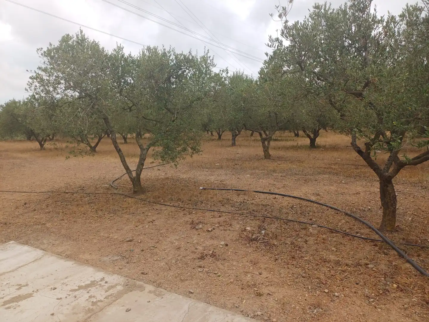 Terreno en venta en Vilanova d'Escornalbou