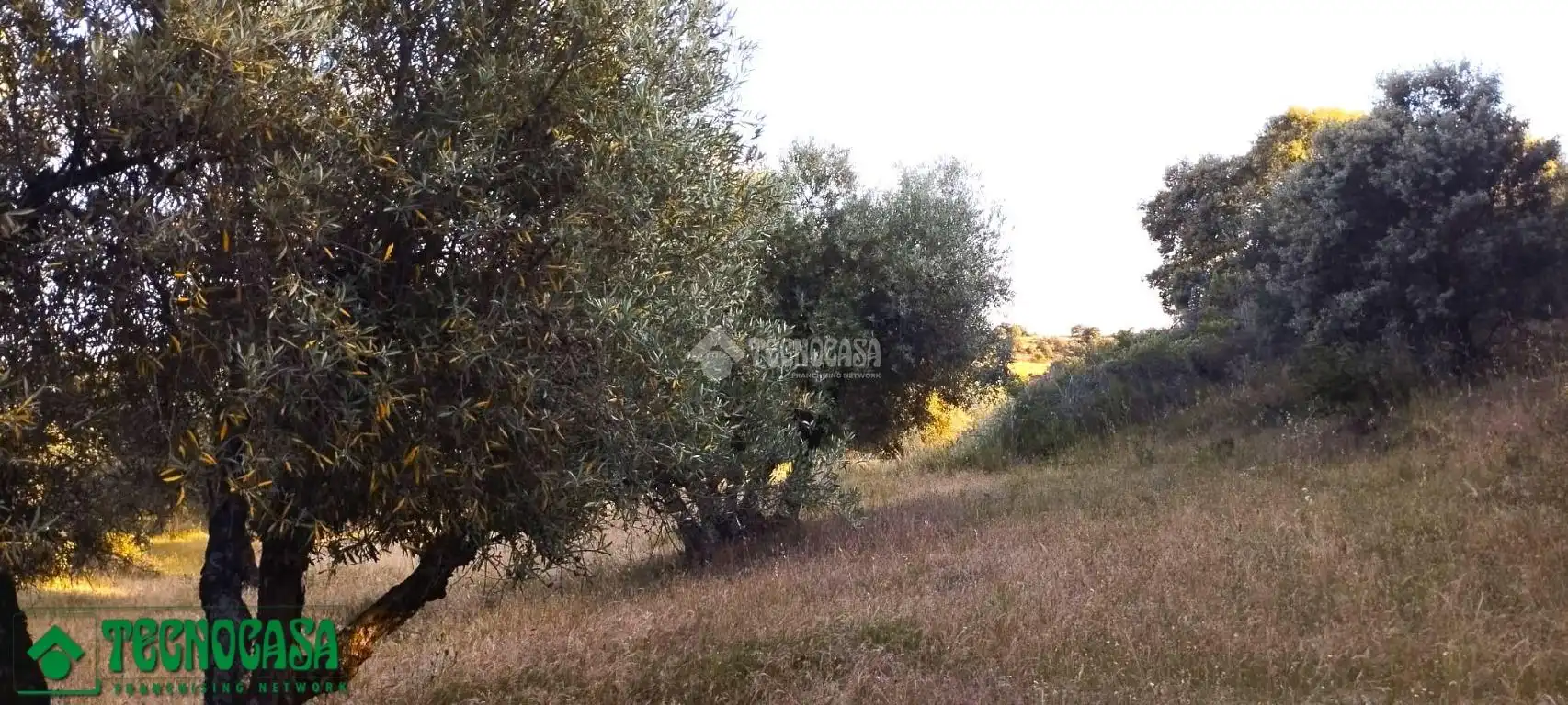 Terreni e lotti in vendita a Méntrida, imagen 3