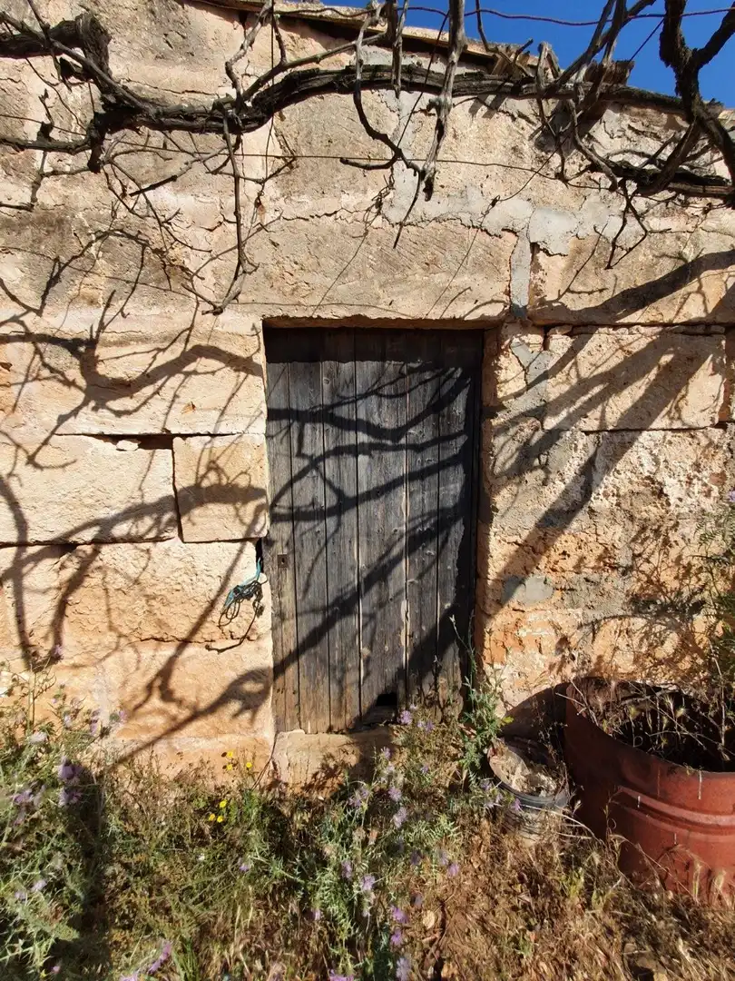 Vista exterior de Finca rústica en venda en Santa Margalida