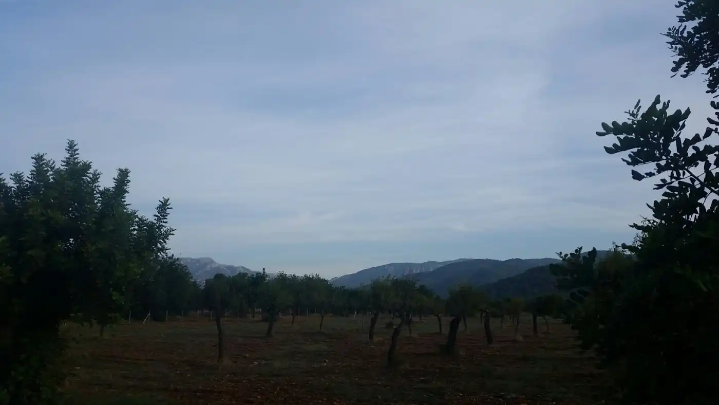 Casa rustica in vendita a Campanet