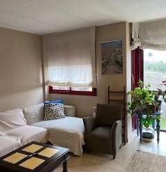 Living room of Flat to rent in  Madrid Capital  with Air Conditioner, Heating and Private garden