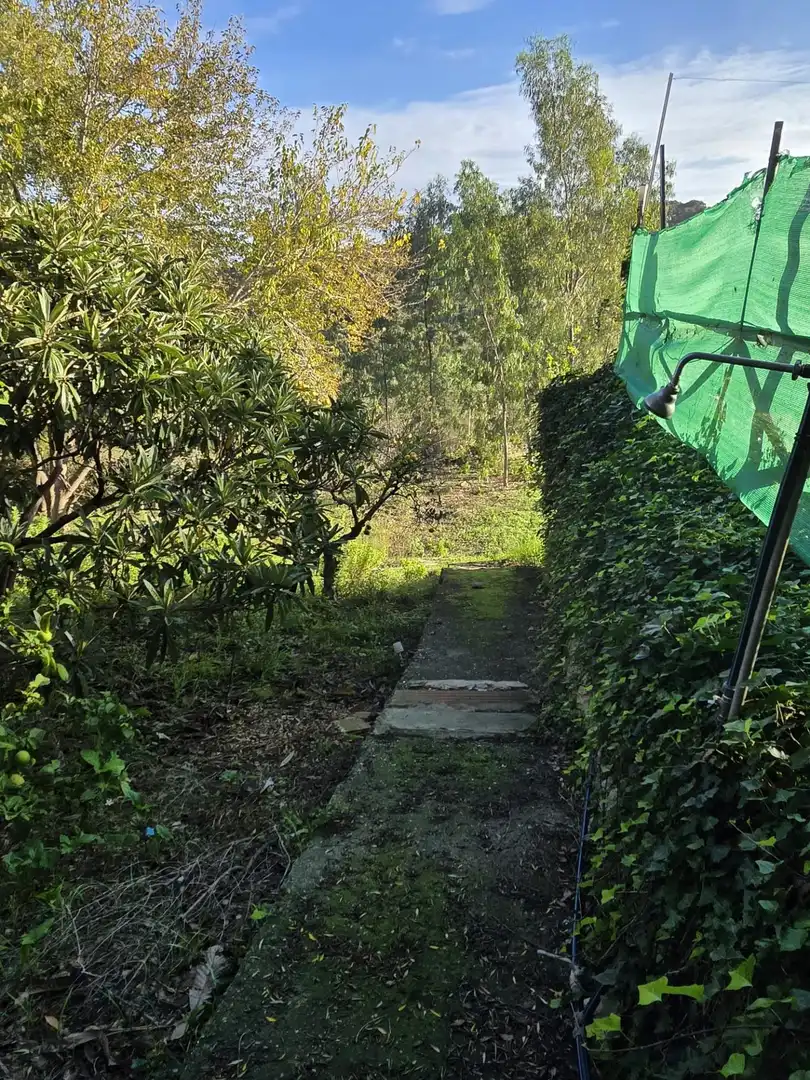 Casa o xalet en venda en Los Barrios