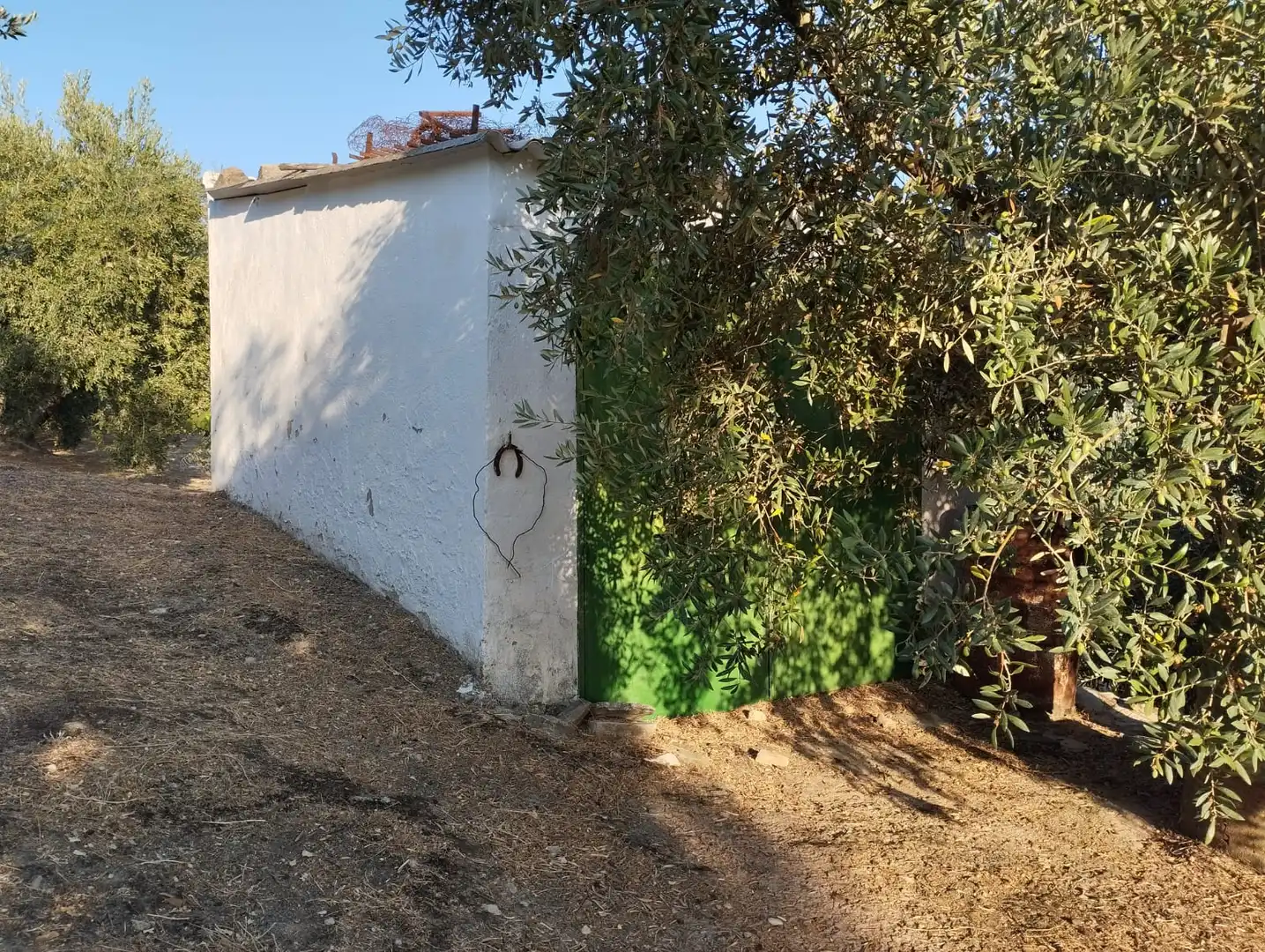 Terreno rustico in vendita a Avenida Fuente del Río