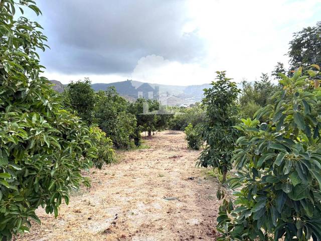 Terreno en Venta en Ventillas en Los Tablones - La Garnatilla