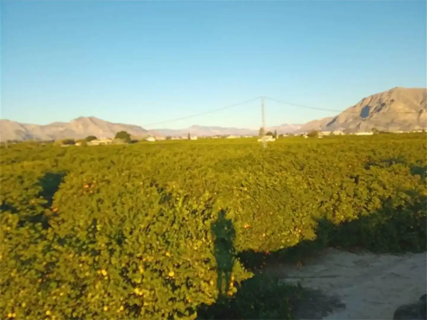 Terreno en venta en Orihuela