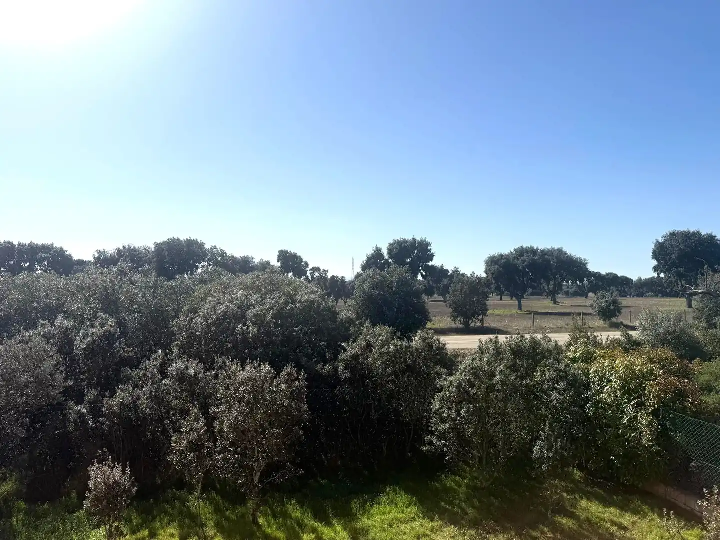 Casa o chalet en venta en Carrascal de Barregas con Calefacción, Jardín privado y Terraza