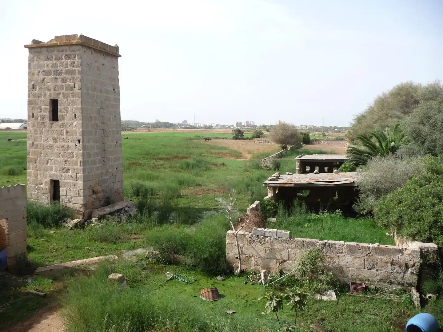 Finca rústica en venda a Son Ferriol