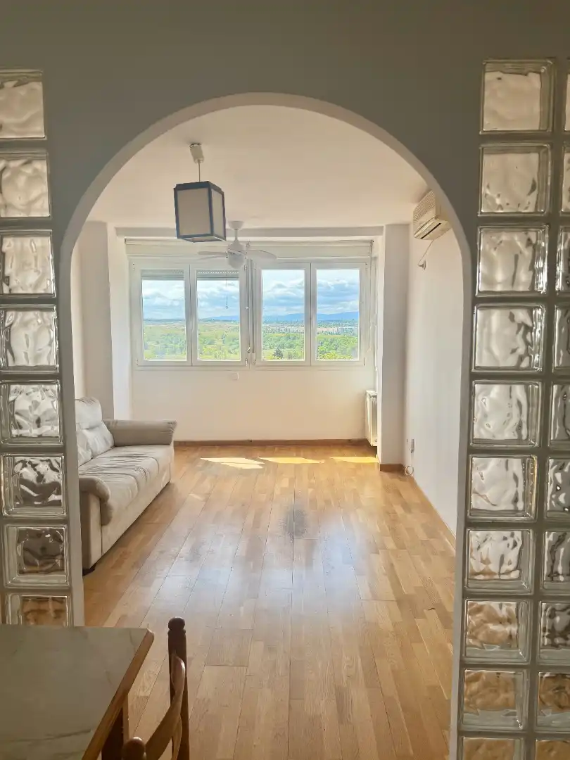 Sala de estar de Piso en venta en Madrid con Aire acondicionado, Calefacción y Amueblado