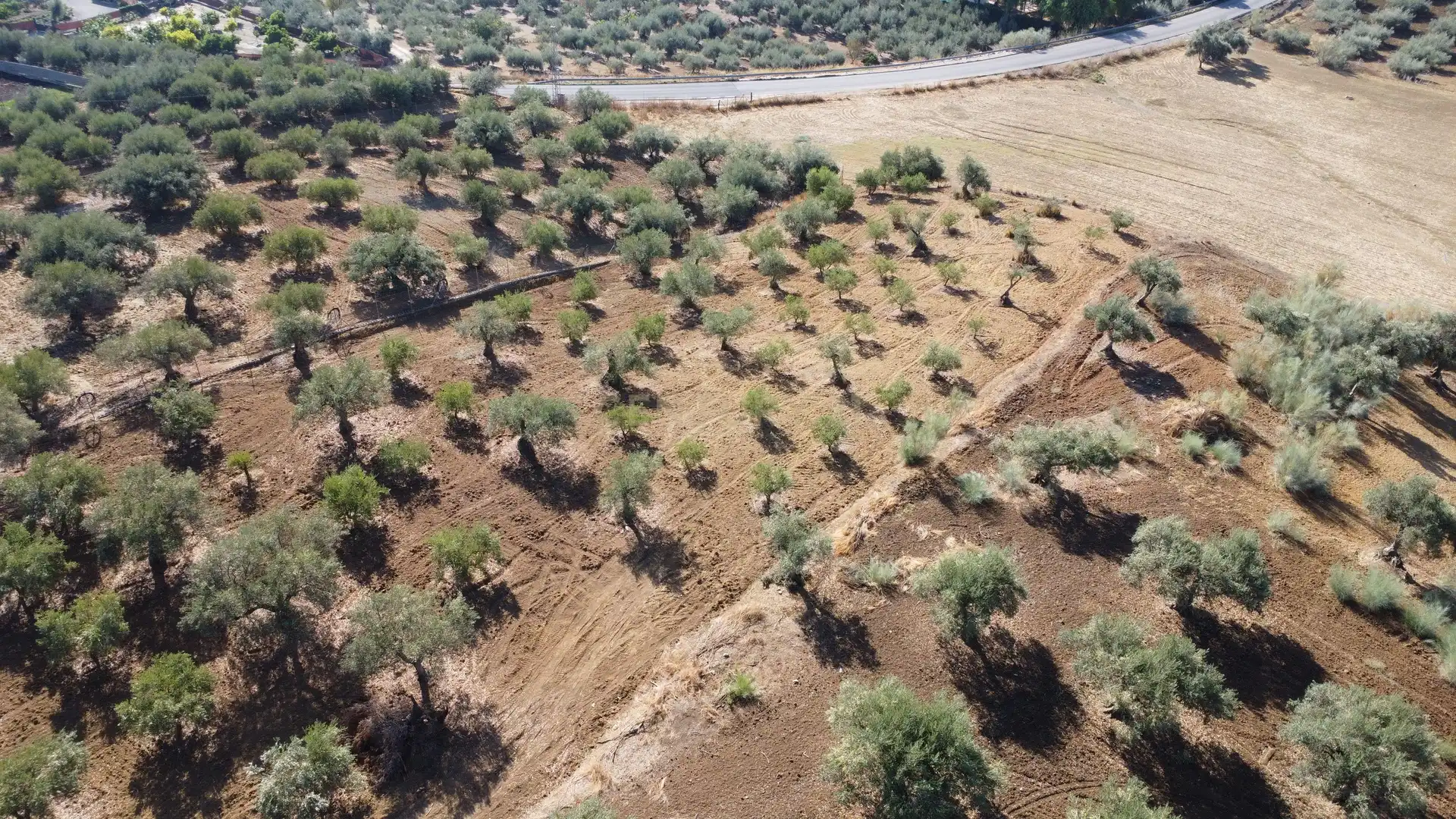 Rural land for sale in Camino la Ramita, Alhaurín de la Torre, Málaga, Spain, imagen 2