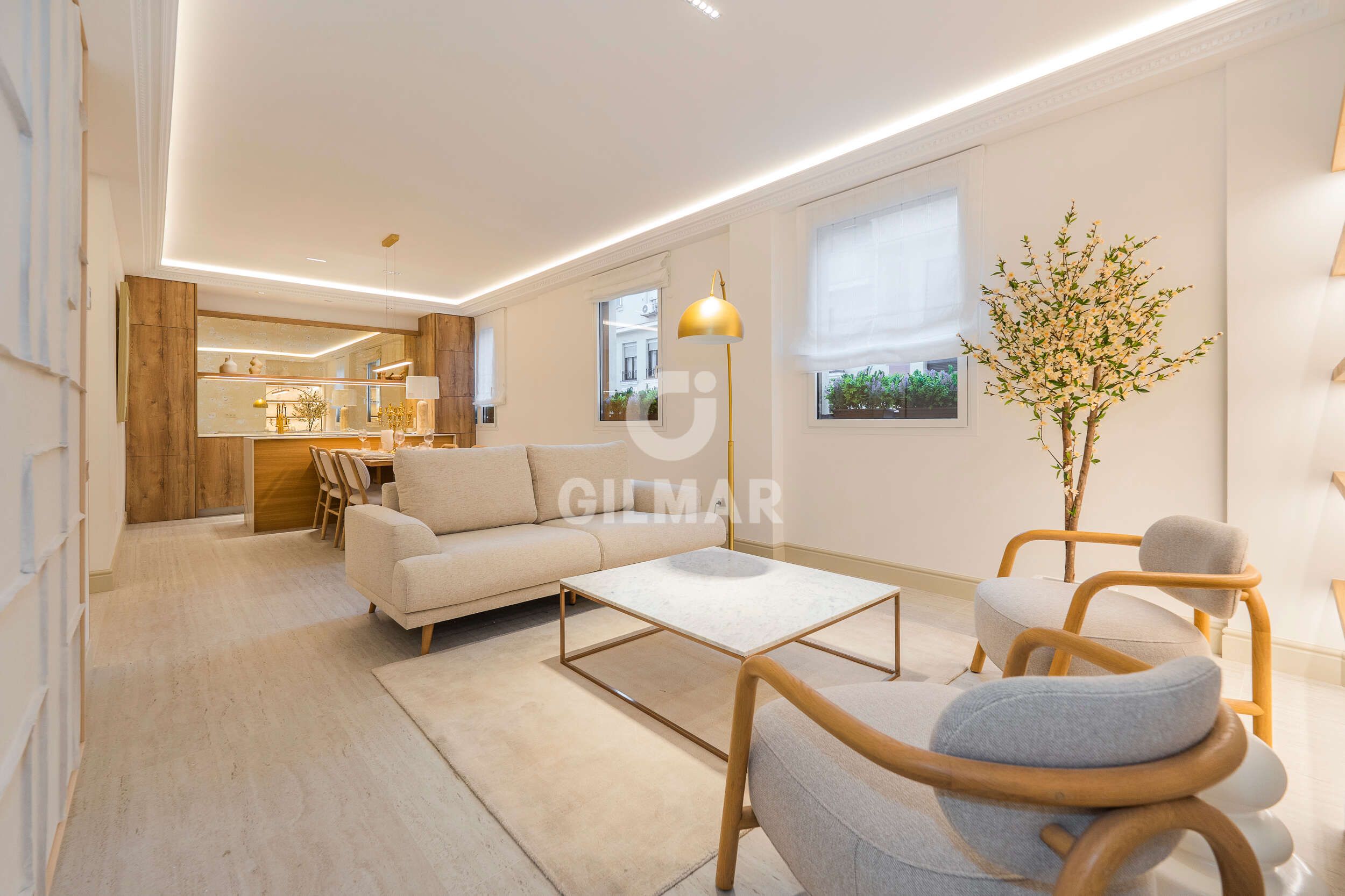 Living room of Flat for sale in  Madrid Capital  with Heating and Furnished