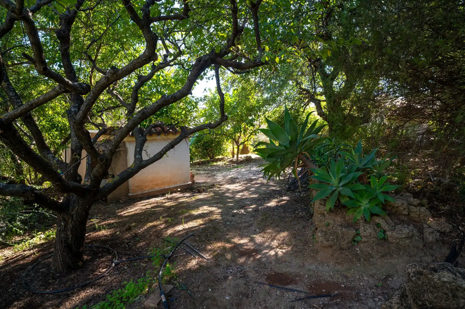 Jardí de Casa o xalet en venda en Mijas amb Terrassa