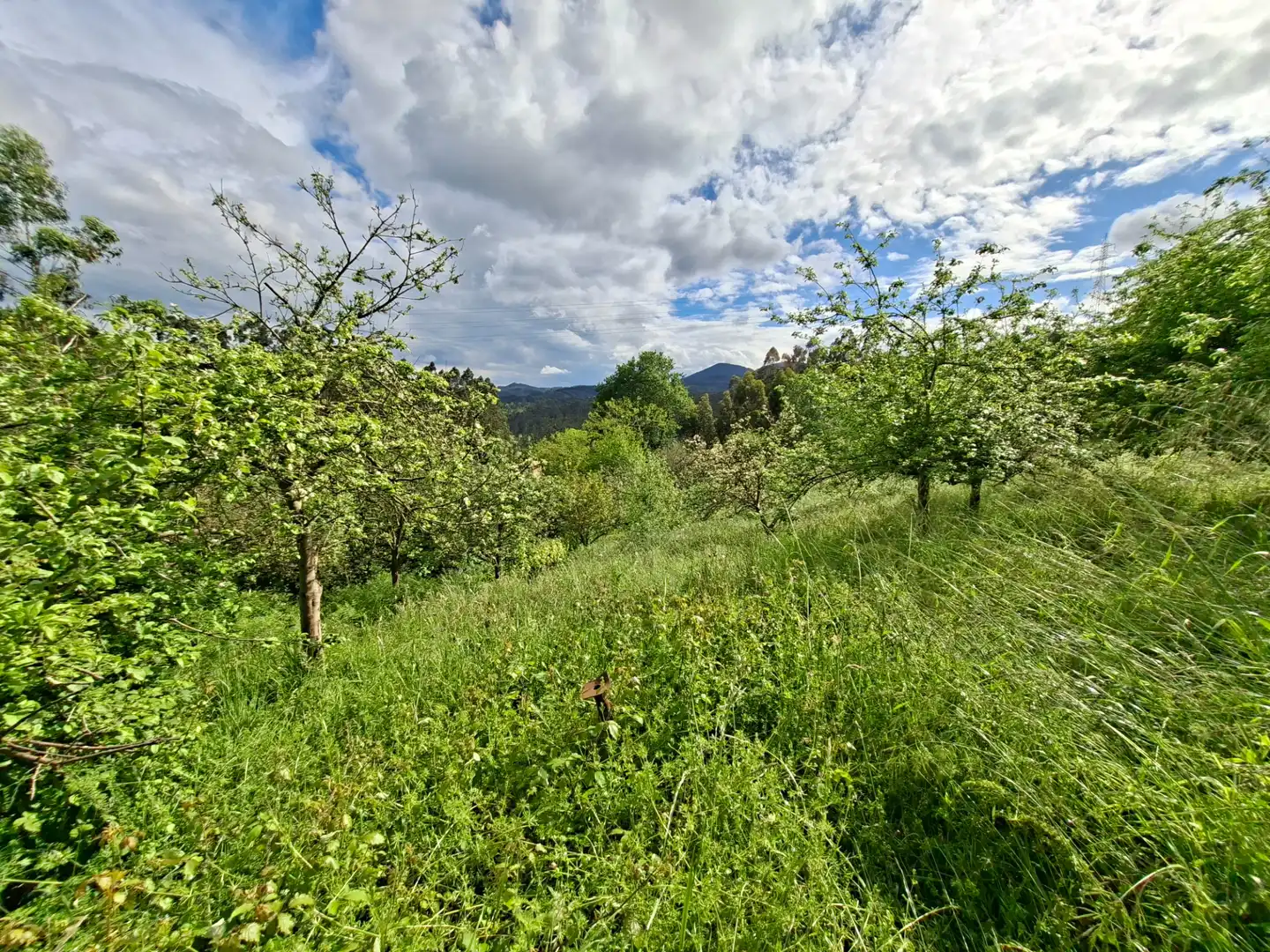 Residential land for sale in Corvera de Asturias, imagen 8