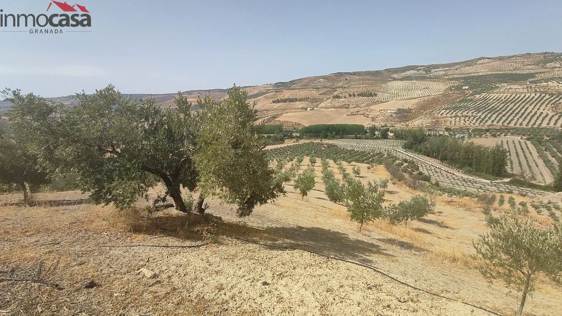 Rural land for sale in Santa Cruz del Comercio, imagen 23