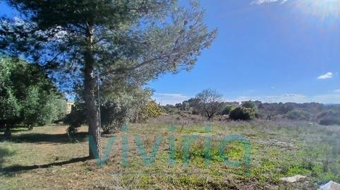 Photo 4 of House or chalet for sale in Poligono Numero 18, Cheste, Valencia