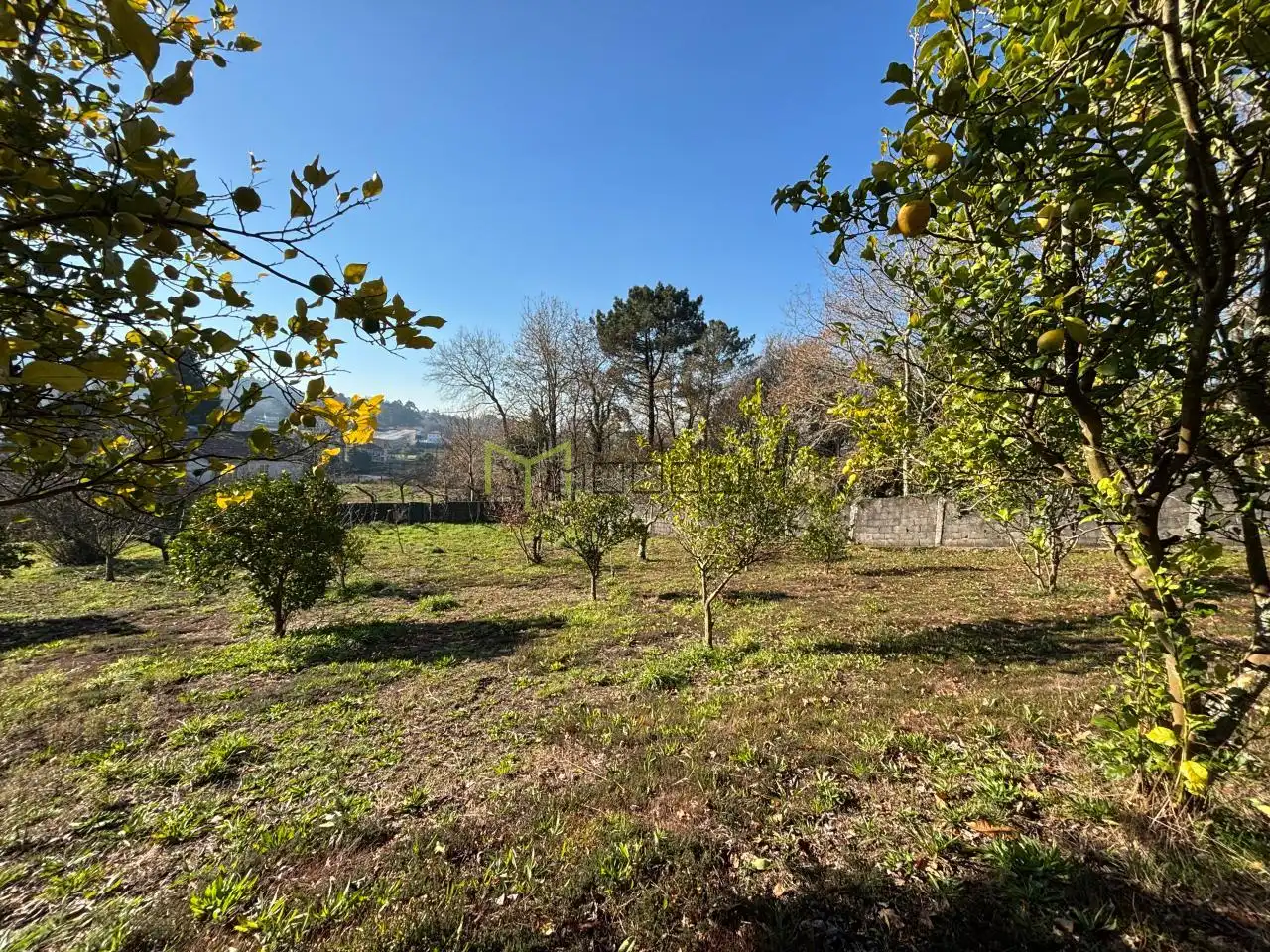 Casa o xalet en venda en Teo amb Calefacció, Jardí privat i Piscina