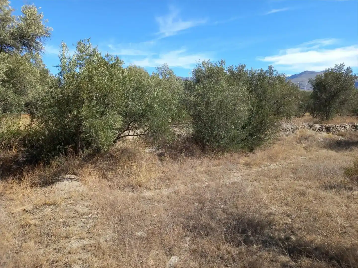 Terreno en venta en Las Tres Villas, Almería