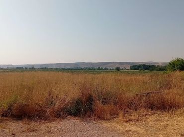 Rural land for sale in Vial Camino 58