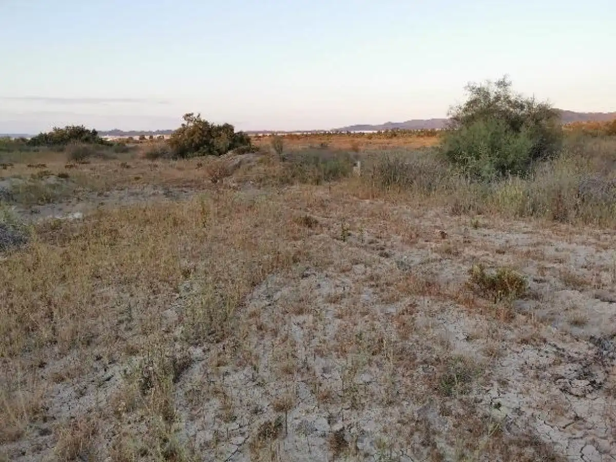 Terreno rustico in vendita a Camino LOS HUERTOS, imagen 47