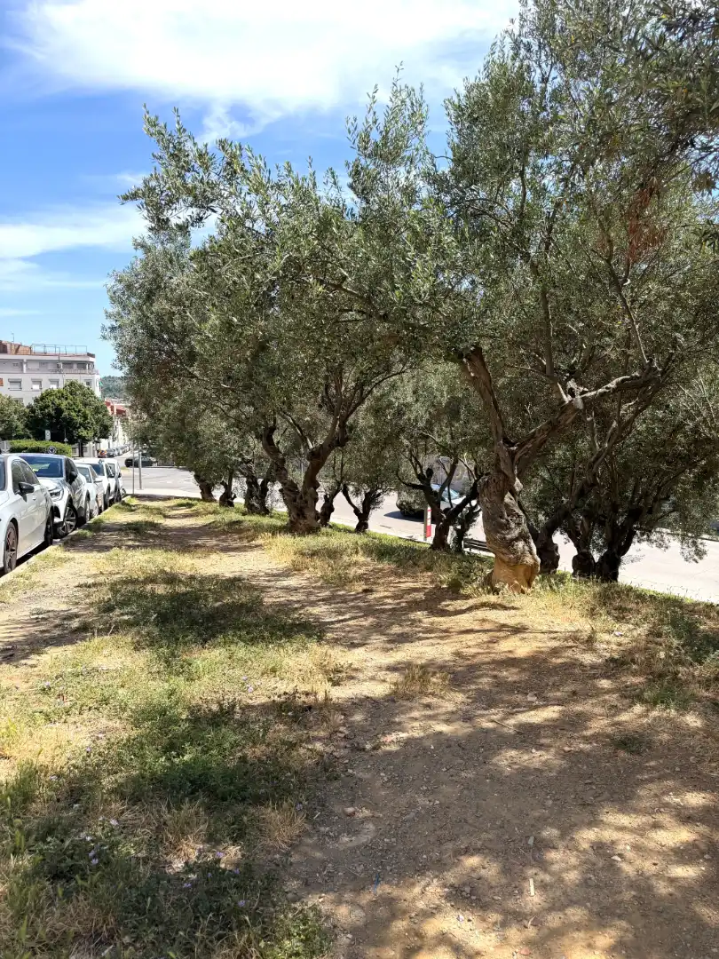 Piso en venta en Carrer d'Abla, Can Boada