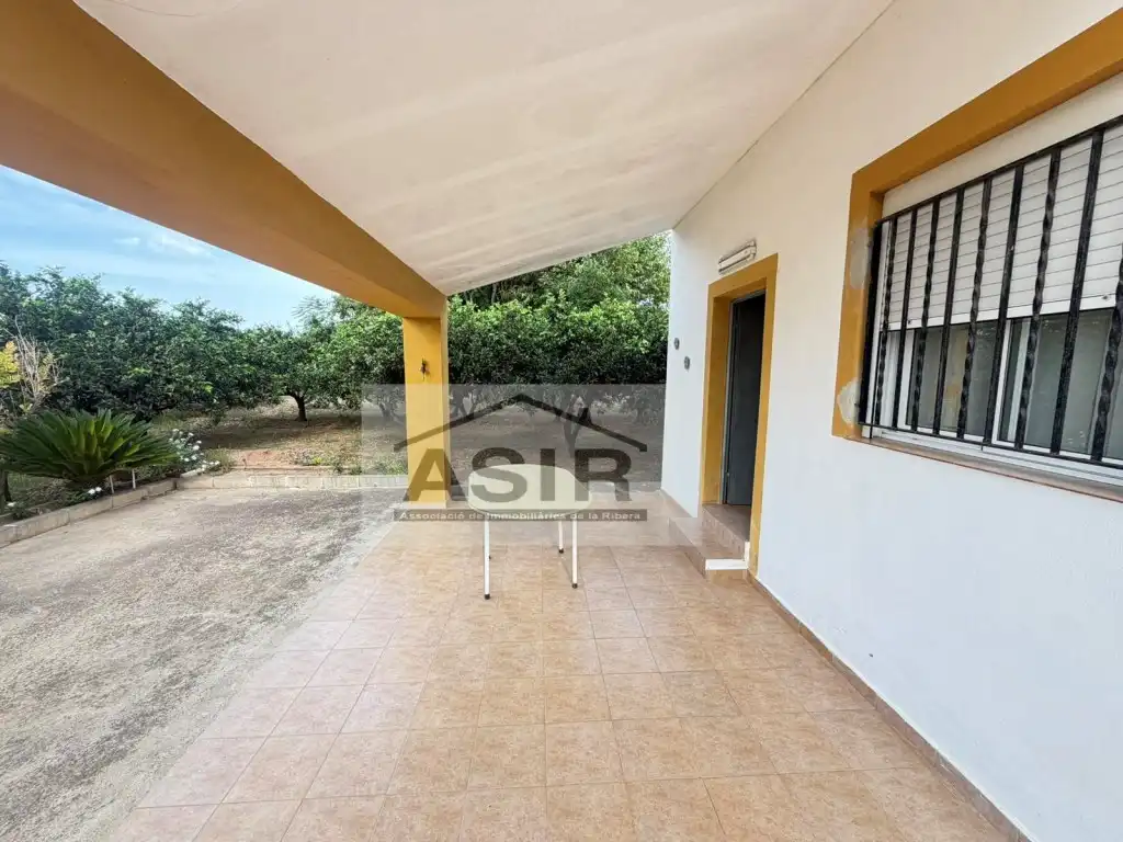 Exterior view of Houses for sale in Benicull de Xúquer