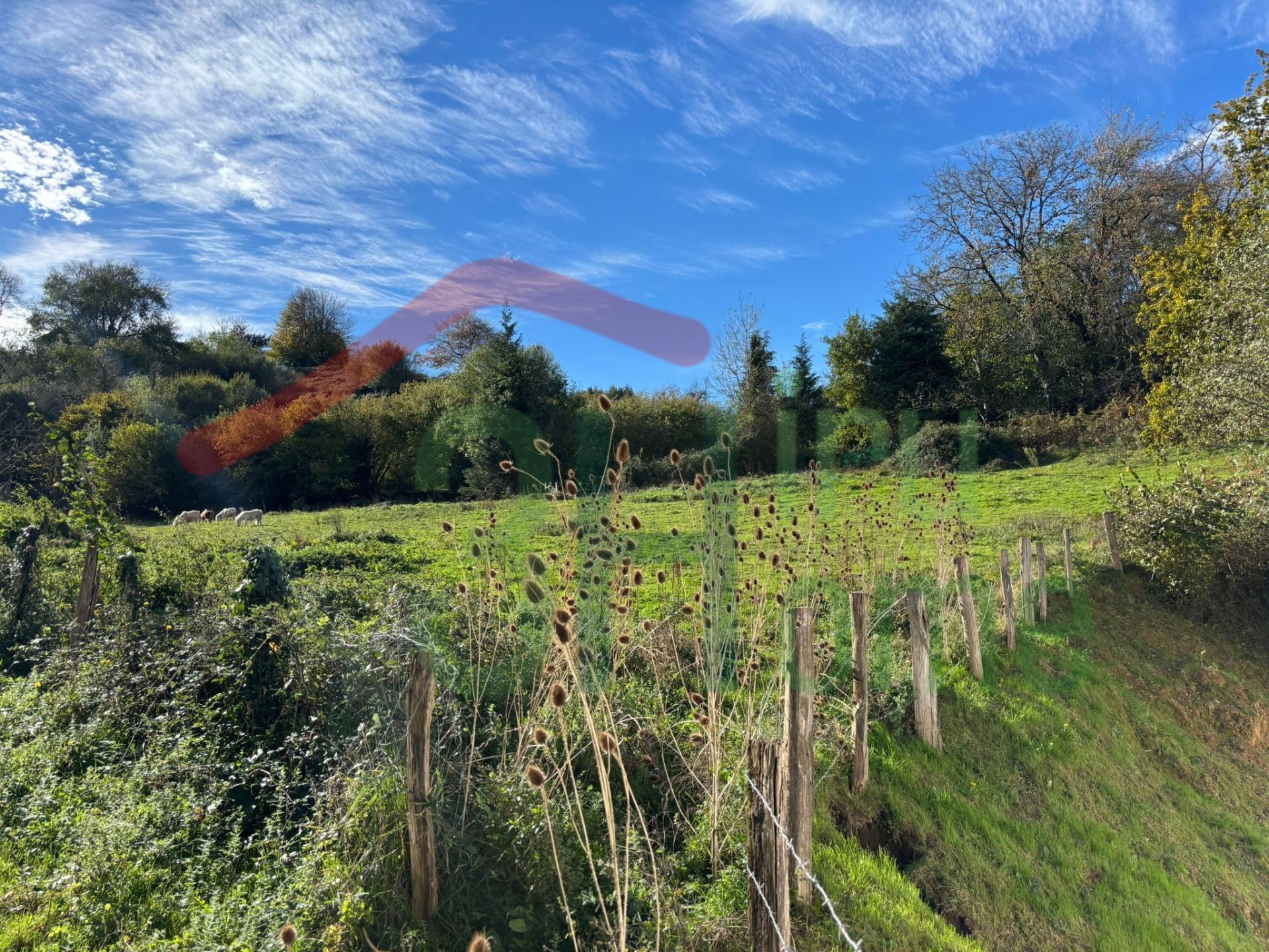 Residential for sale in Zugarramurdi