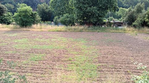 Foto 4 de Terreno en venta en Polígono Polígono 10 Parcela 38 el Castell. Castel, 38, Can Font - Ca n'Avellaneda, Castellar del Vallès