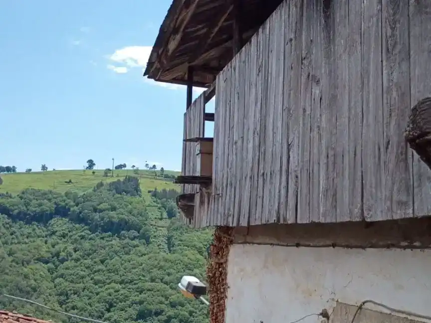 Vista exterior de Finca rústica en venda en Tineo