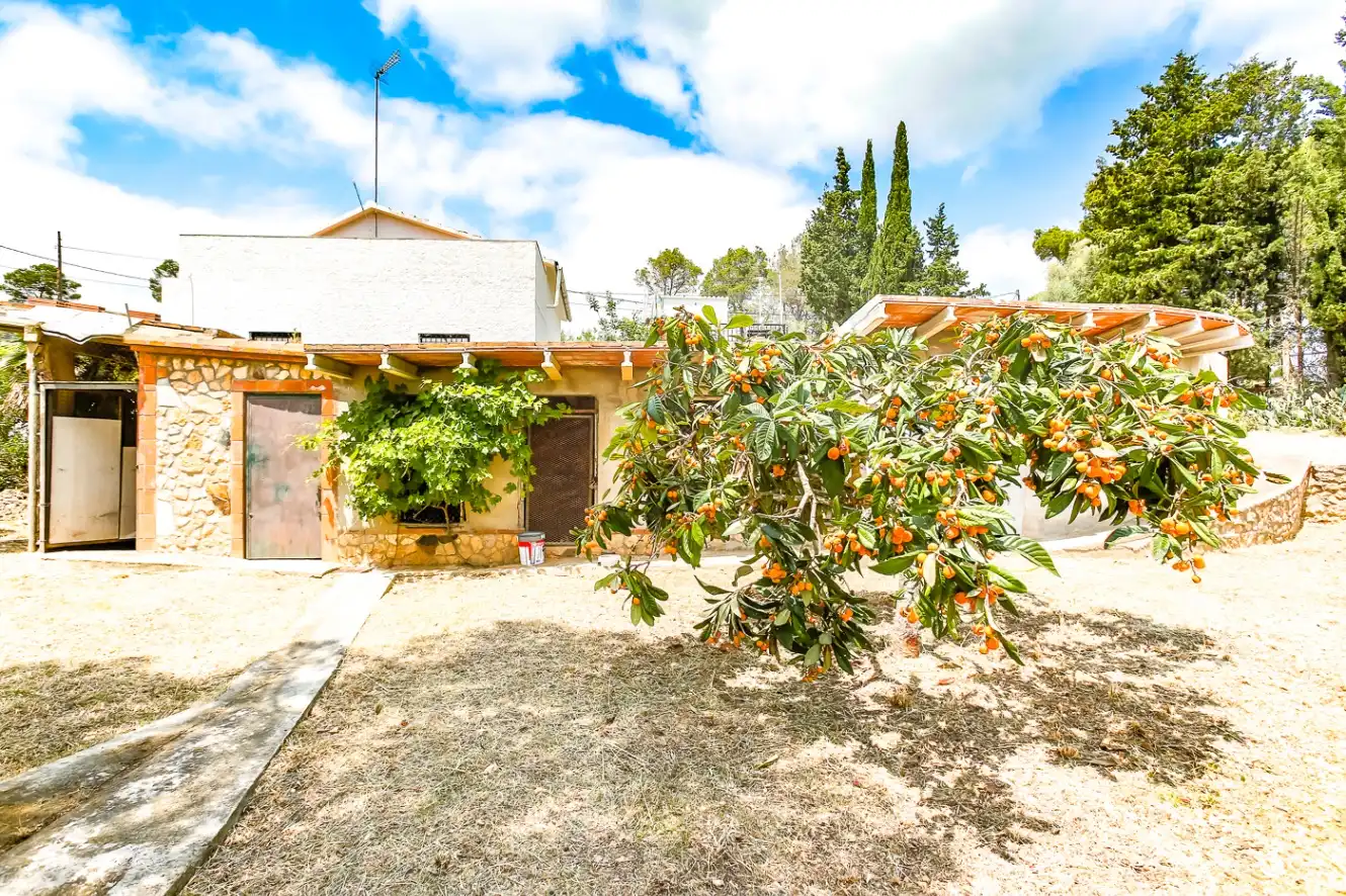Jardín de Finca rústica en venta en Avinyonet del Penedès
