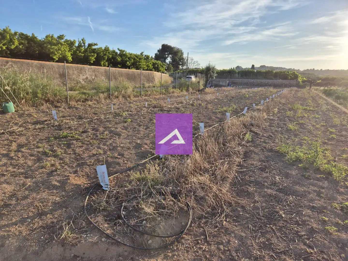 Land for sale in Picassent