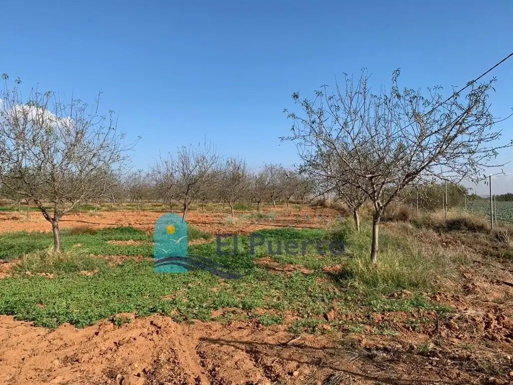 Terreno rústico en venta en Pedanías Oeste, imagen 15