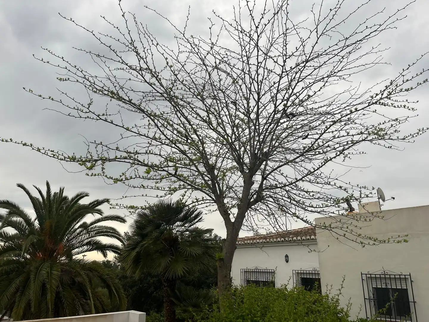 Casa en venta en Cap Martí - El Tossalet - Pinomar, imagen 43