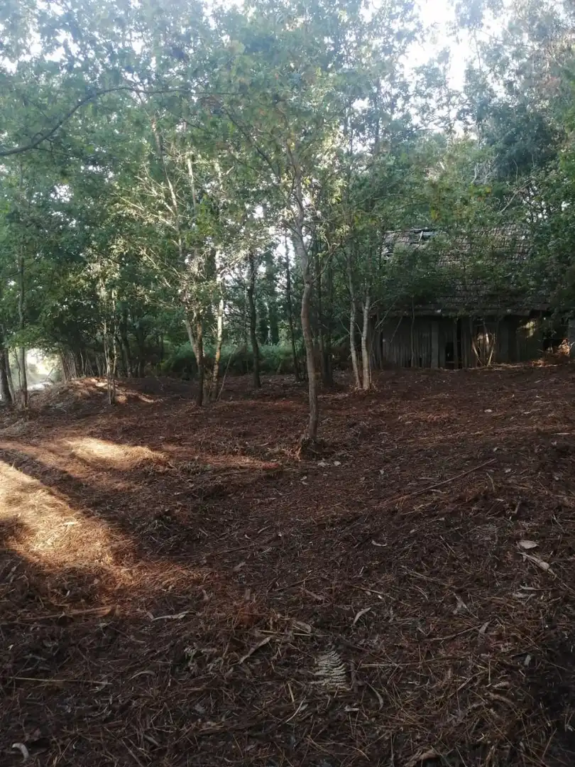Finca rústica en venta en Ponteareas