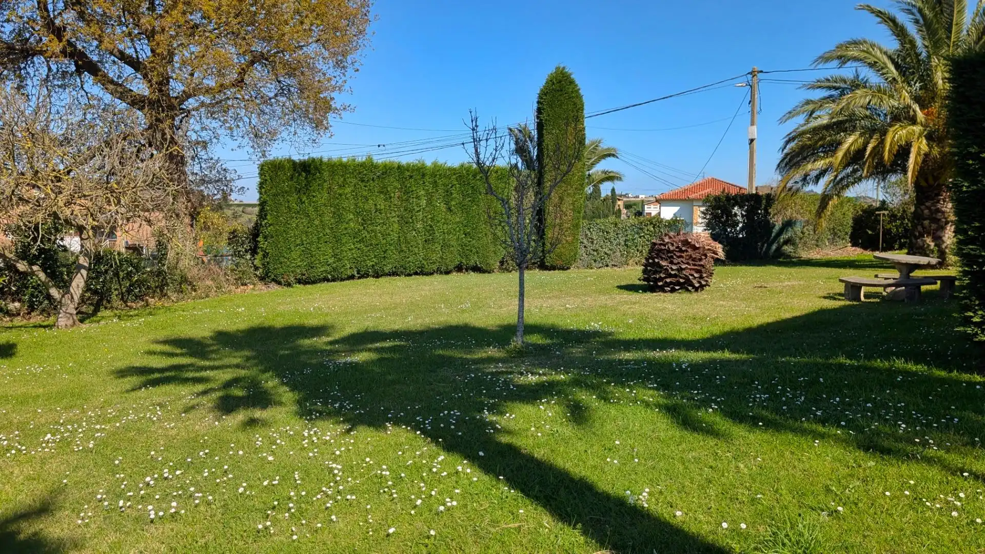 Chalet con piscina en venta en Calle DOCTOR FLEMING 34, imagen 41