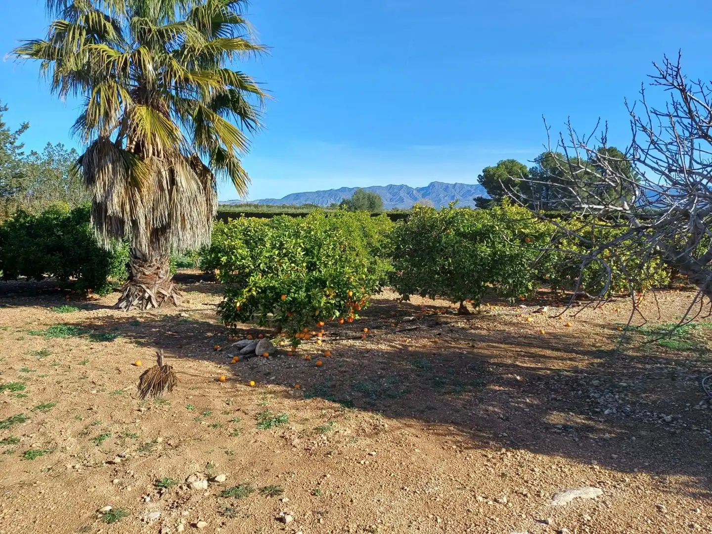 Land for sale in Aldover