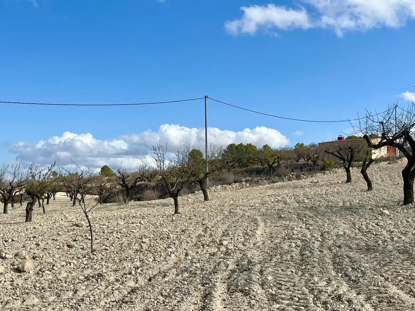 Lands and plots for sale in Bullas, imagen 22