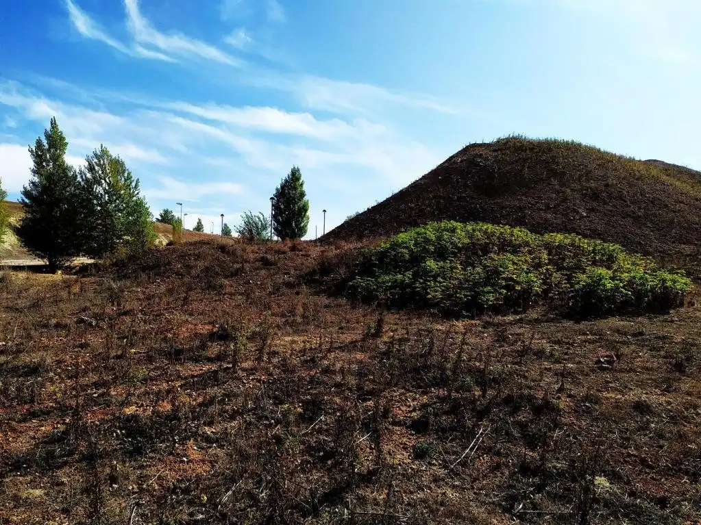 Land for sale in Buniel