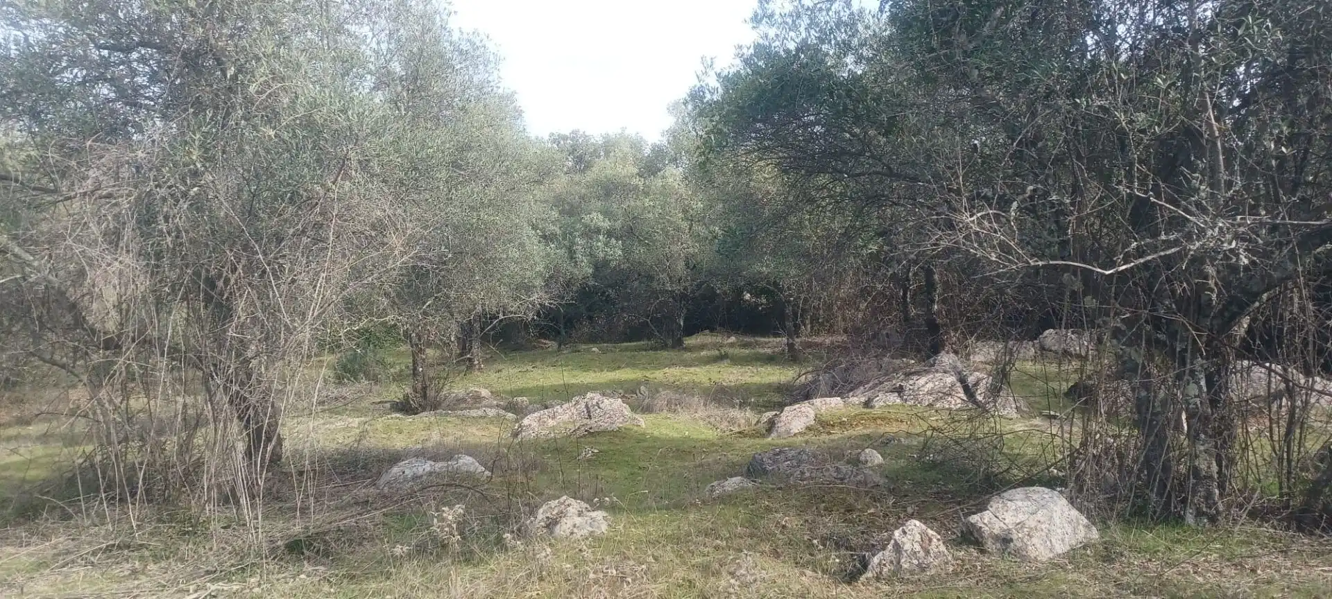 Terreni e lotti in vendita a Constantina, imagen 47