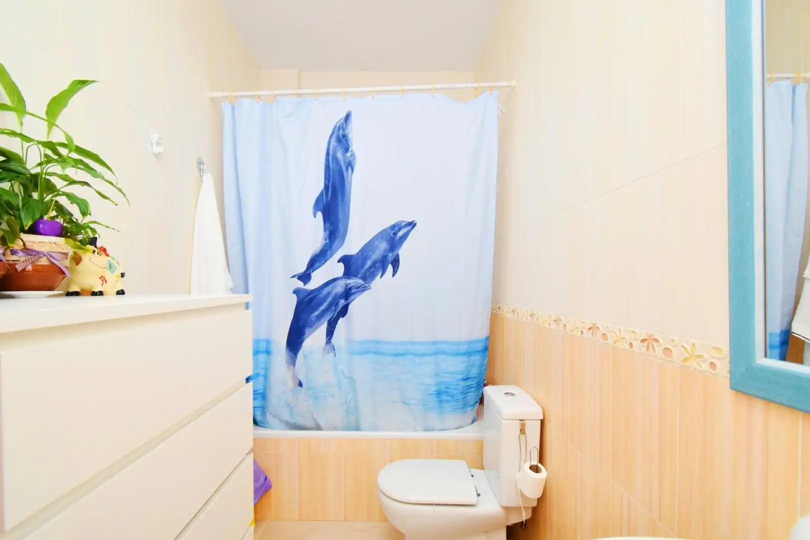 Bany de Casa o xalet en venda en Vícar amb Aire condicionat, Terrassa i Moblat