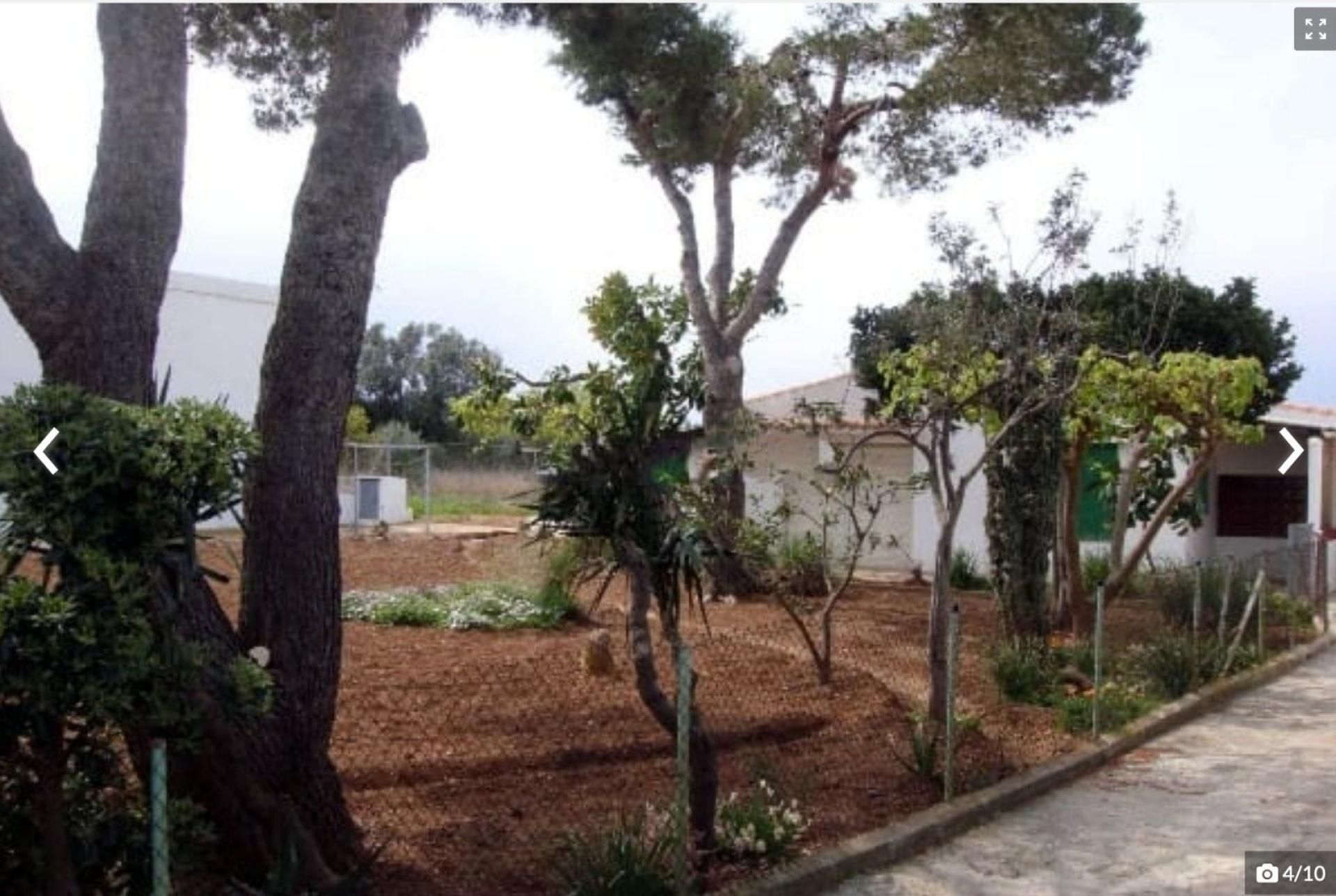 Garden of House or chalet for sale in Vinaròs