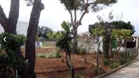 Garden of House or chalet for sale in Vinaròs