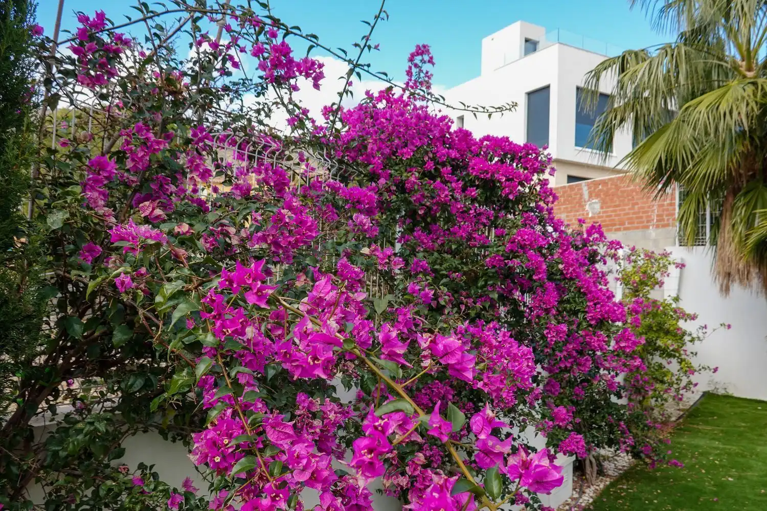 Casa en venta en Golf Bahía, imagen 51